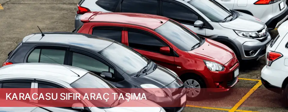 Karacasu İlçemi Sıfır Araç Taşıma