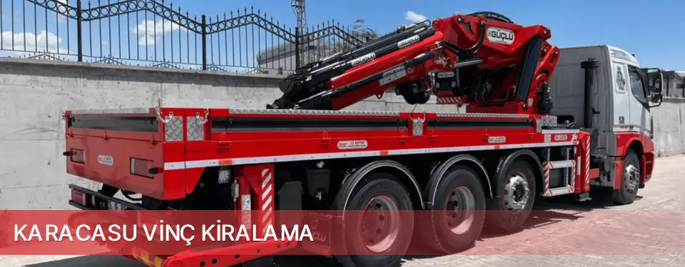 Karacasu İlçemi Vinç Kiralama